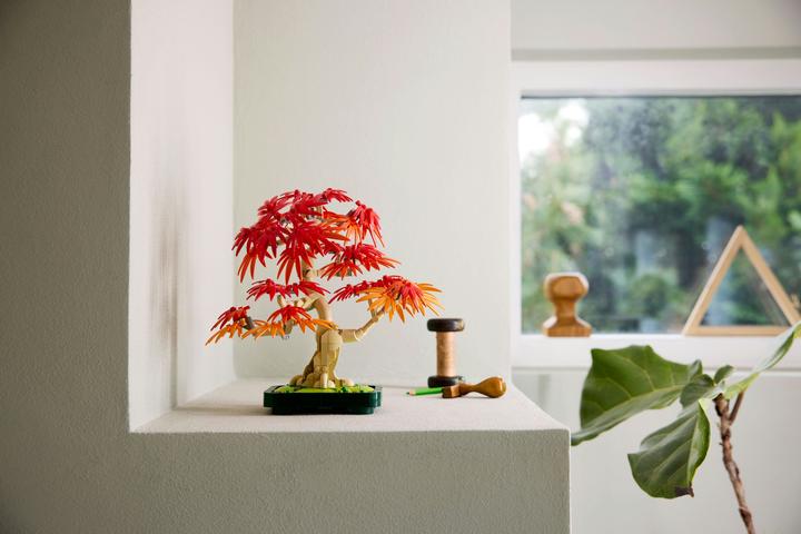 Produktbild LEGO Japanischer Roter Ahorn - Bonsai-Baum (10348, LEGO Botanical)