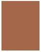 Actual product image Makeup Revolution Renaissance (Brown)