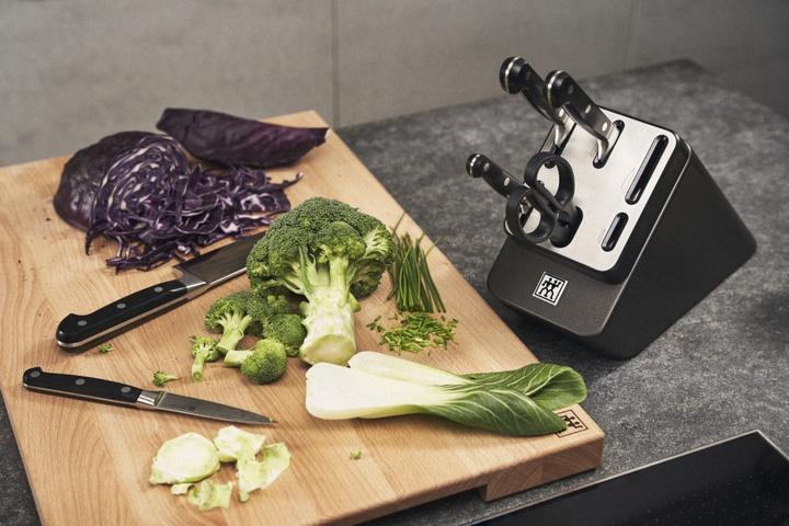 Immagine prodotto Zwilling Ceppo di coltelli autoaffilanti Professional S da 7 pezzi