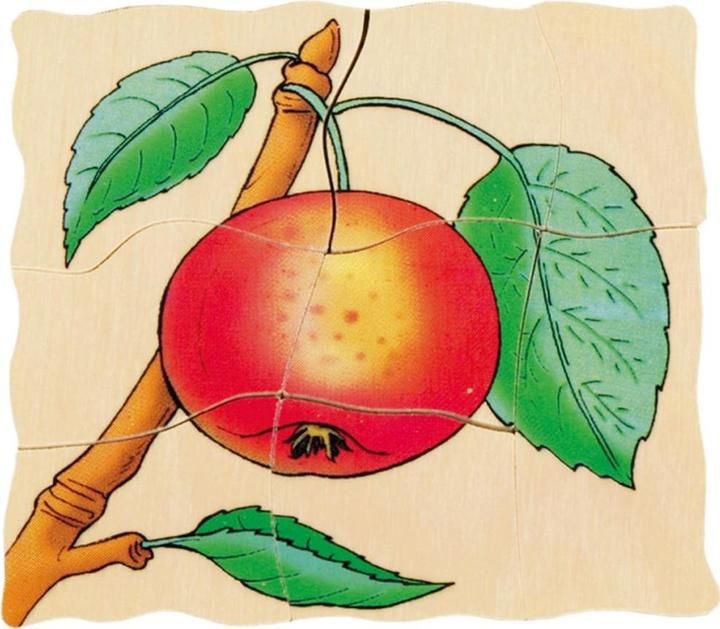 Actual product image Beleduc Apple (30 pieces)
