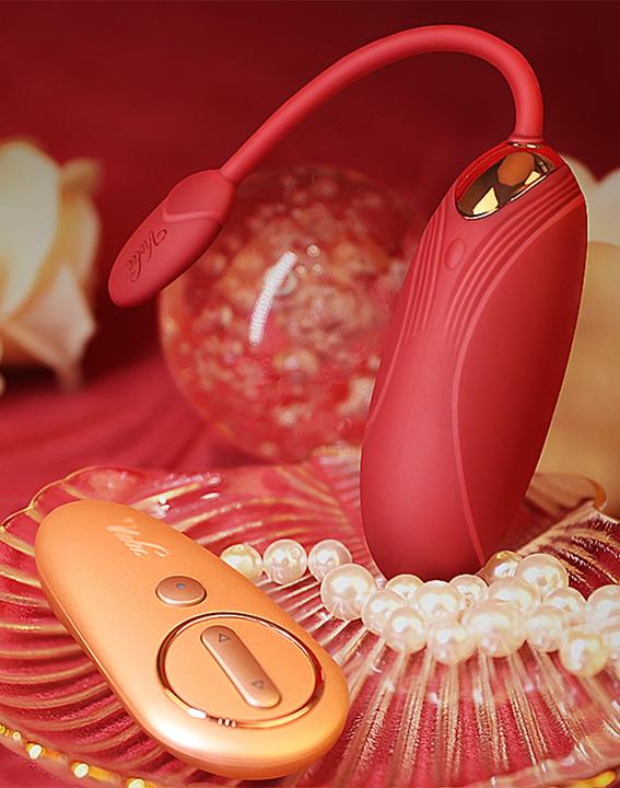 Image du produit Viotec Oliver Vibromasseur portable avec télécommande