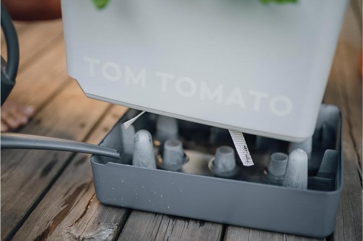 Image du produit Gusta Garden Tom Tomato (35 cm)