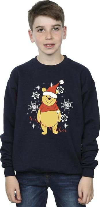 Actual product image Disney Boys Winnie The Pooh Winter Wishes Sweatshirt (140, 146)