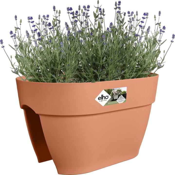 Produktbild Elho Vibia Campana Flower Bridge (26 cm)