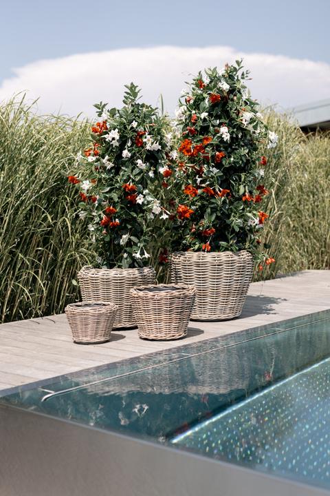 Actual product image Van der Leeden Bali (36 cm)