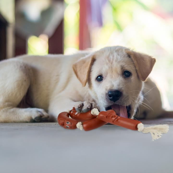 Produktbild Relaxdays Hundespielzeug Wurst (Zerrspielzeug Hund)