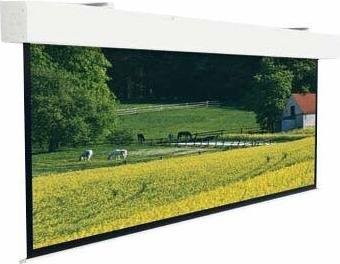 Actual product image Projecta Elpro Large Electrol 316x500 MW 16:10 no Border (227", 16:10)