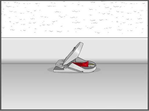 Actual product image Swissinno Mousetrap Pro SuperCat pack of 2