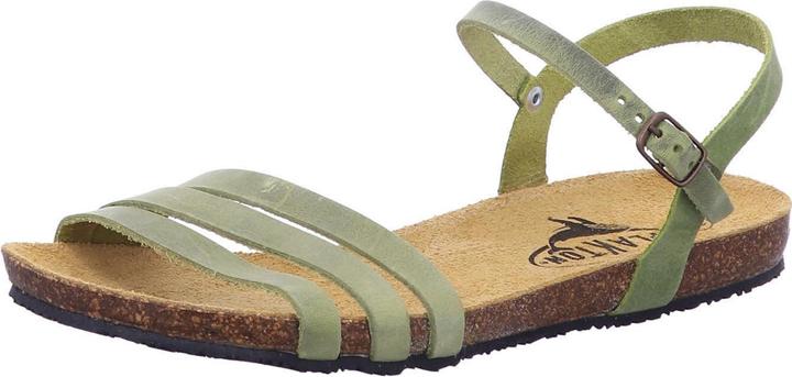 Immagine prodotto Plakton 575080 PISTACIO (40)