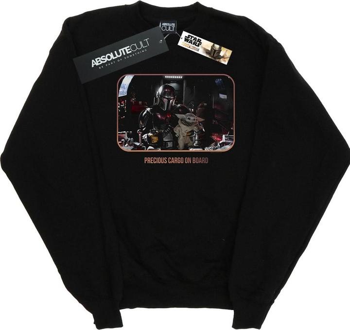 Image du produit Star Wars - Sweat THE MANDALORIAN PRECIOUS CARGO - Homme (M)