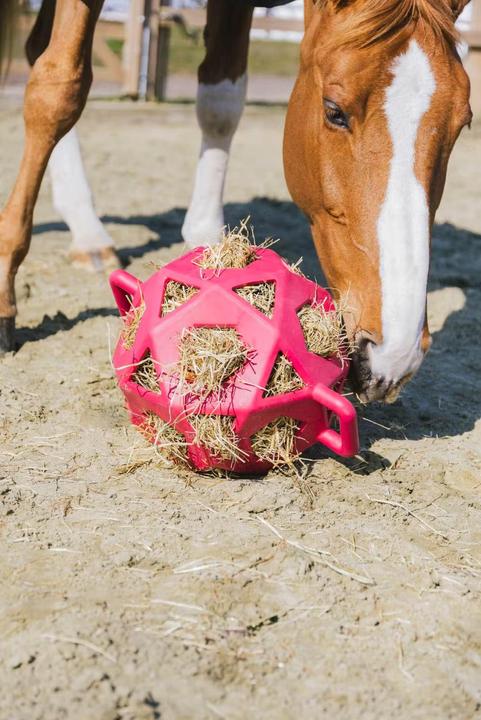 Image du produit Kentucky Horsewear Balle à foin