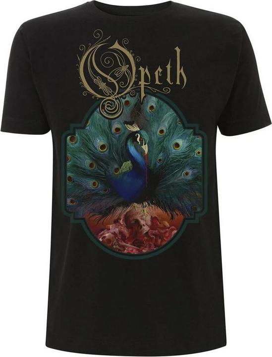 Actual product image Universal Textiles Unisex Adult Sorceress T-Shirt (M)