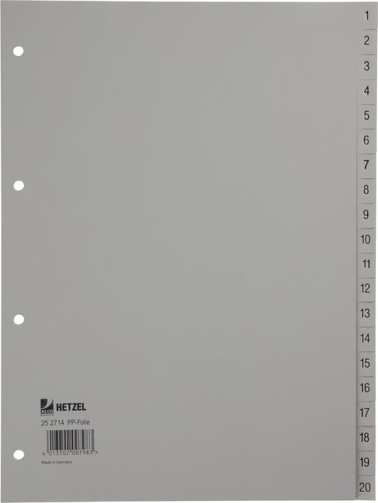 Rexel Kunststoff-Register für A4