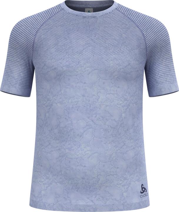 Blu skipper