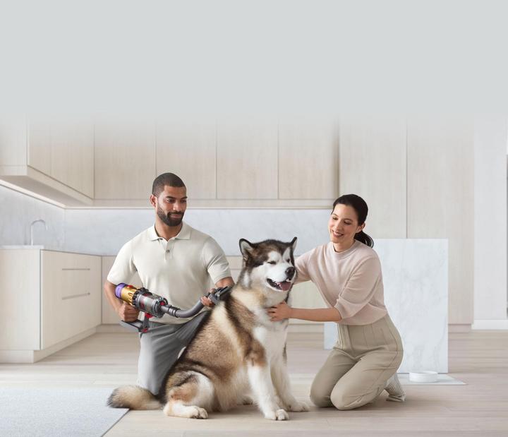 Actual product image Dyson Haustierpflegeset