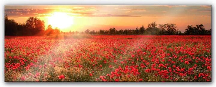 Actual product image Trenddeko Poppy field at sunset - Panorama (120 x 50 cm)