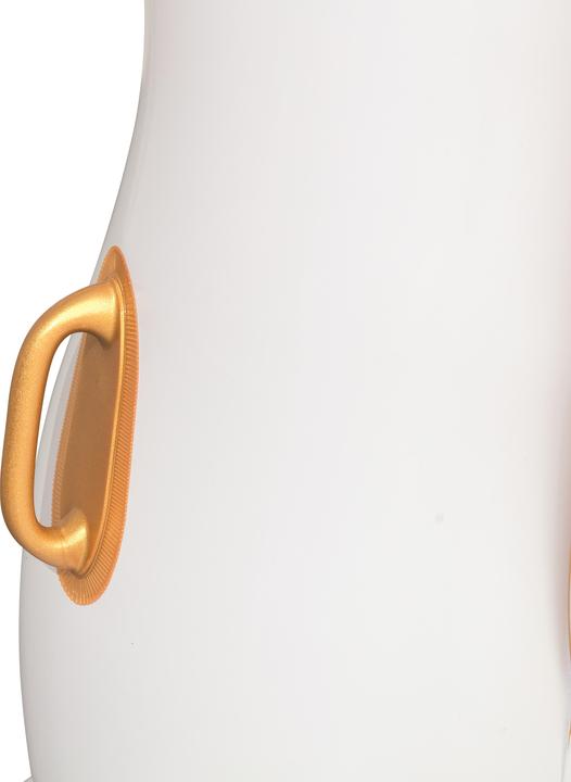 Actual product image Bestway Luxury Pegasus 231x150cm