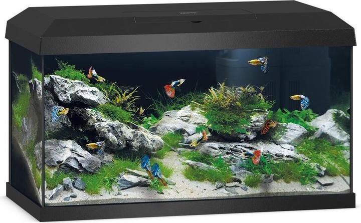 Immagine prodotto Juwel Aquarium Primo 2.0. (57 l)