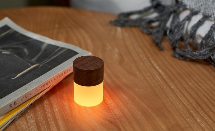 Actual product image Gingko Lemelia Light (104 lm)