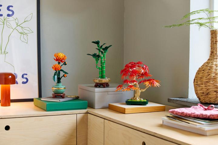Produktbild LEGO Japanischer Roter Ahorn - Bonsai-Baum (10348, LEGO Botanical)