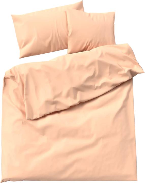 Apricot