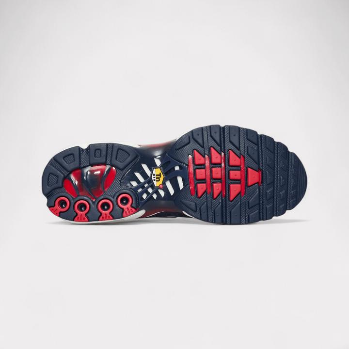 Image du produit Nike Air Max Plus (44.5)