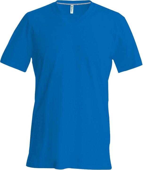 Bleu roi
