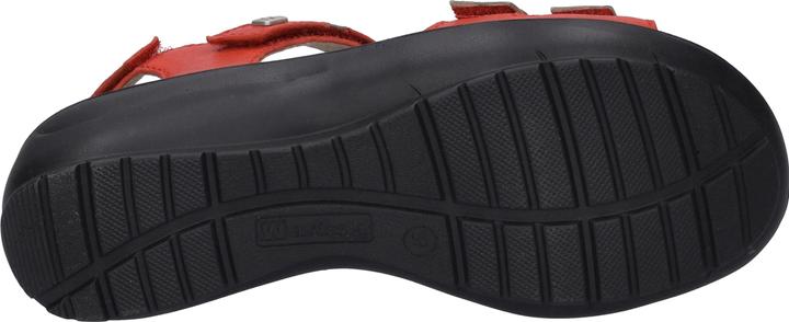 Image du produit Westland 25902-644 (41)