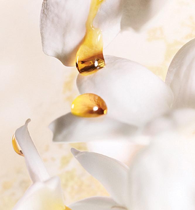 Actual product image Dior J'Adore (Eau de parfum, 150 ml)