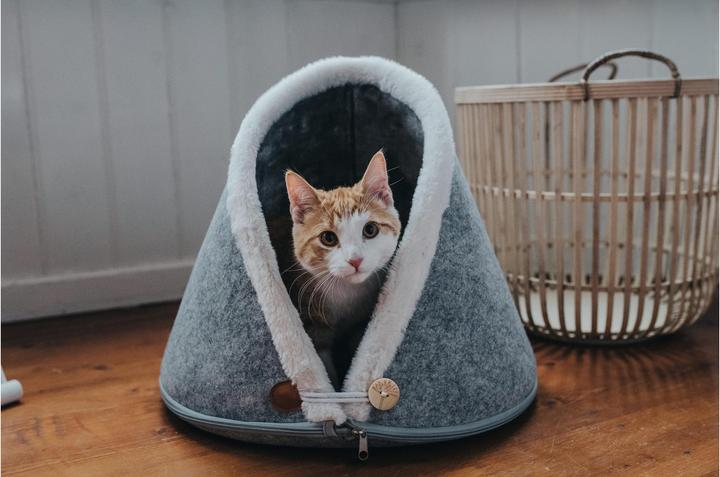 Image du produit Hunter Chat de la grotte Skive (Chien)