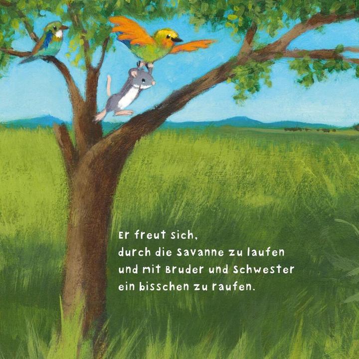 Actual product image Baby Pixi (unkaputtbar) 104: Der kleine Löwe (German, Susanne Lütje, 2021)