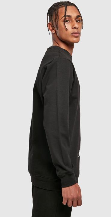 Image du produit Looney Tunes - Sweat SYLVESTER CROSSED ARMS - Homme (S)