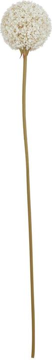 Actual product image Hill Interiors The Natural Garden Collection Allium Artificial Flower (56 cm)