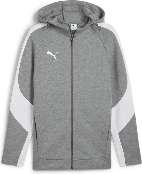 Puma teamEVOSTRIPE Hooded Jacket