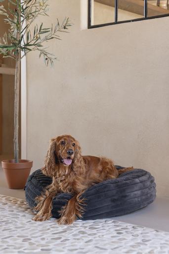 Produktbild Designed by Lotte Liegekissen Reza (Hund)