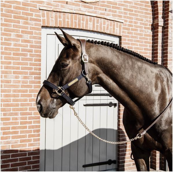 Produktbild Kentucky Horsewear Führkette