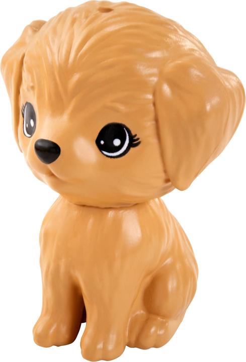 Image du produit Barbie Et Chelsea L'anniversaire perdu & Pet