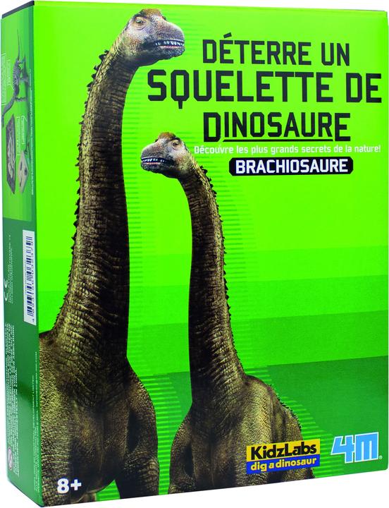 4M Fouille de dinosaures Brachiosaurus