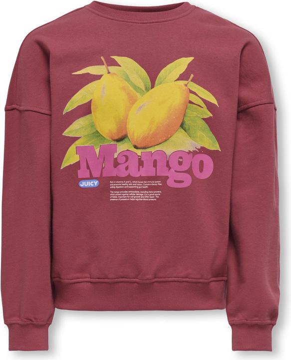 Only KOGPHILEA Sweatshirt Sweatshirt