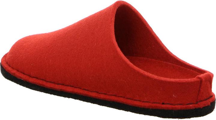 Actual product image Haflinger Slipper 311010-11 (36)