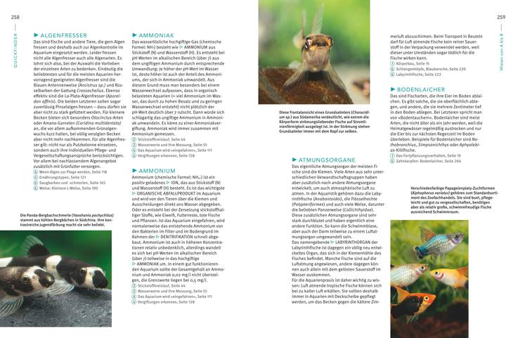 Image du produit Das grosse Praxishandbuch Aquarium (Allemand, Ulrich Schliewen, 2017)