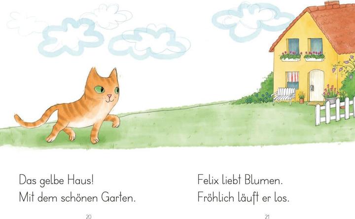 Actual product image LESEZUG/1. Klasse: Kater Felix findet ein Zuhause (German, Christine Auer, 2019)