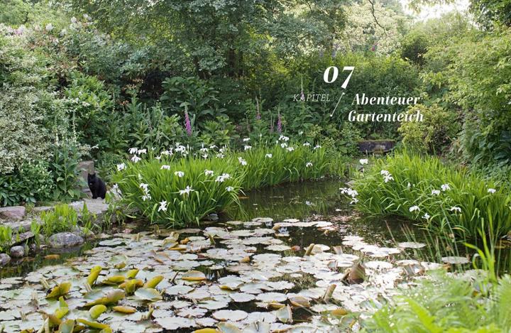 Produktbild Ein Garten ist niemals fertig (Deutsch, Klaus Bender, 2018)