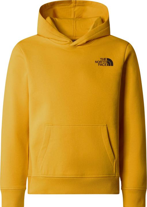 North Face Teen Redbox Regular (L)