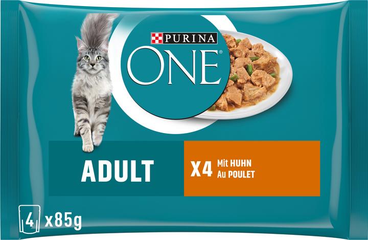 Purina ONE Adulti