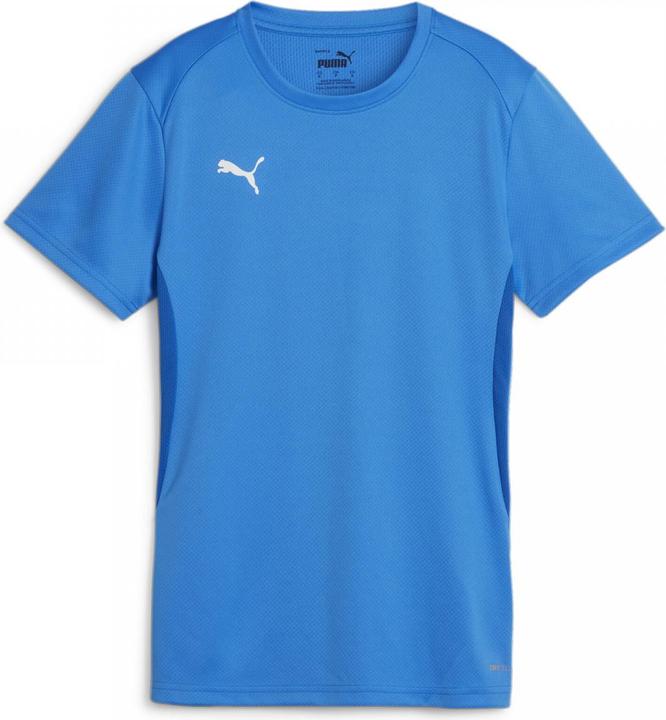 Image du produit Puma teamGOAL Jersey Wmn (S)