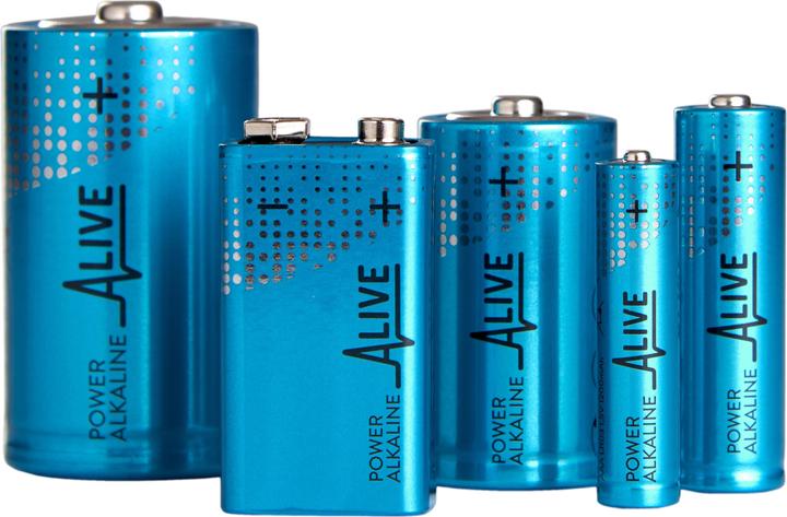 Immagine prodotto Batteria alcalina (2 pz., 9V Block, 600 mAh)