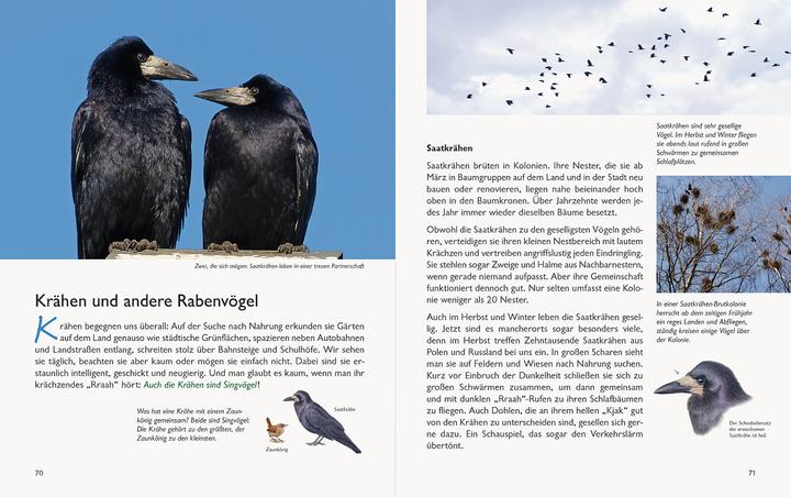 Actual product image Wawra's Naturbuch, Band 1: Säugetiere, Vögel, Reptilien, Amphibien (German, Johannes Wawra, Ursula Wawra, 2020)