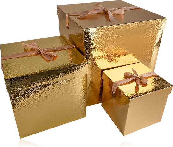 Immagine prodotto Accentra Scatola regalo (Borsa da regalo, 1 x)