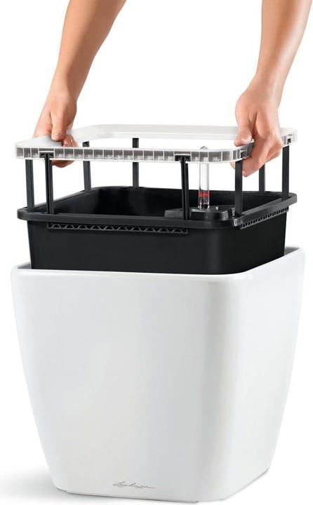 Image du produit Lechuza Quadro LS (28 cm)